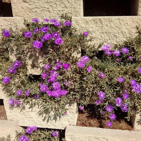Intera Grande Mansarda Di Villetta In Perugia, Olmo Costa D'argento