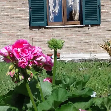 Intera Grande Mansarda Di Villetta In Perugia, Olmo Costa D'argento * Perugia